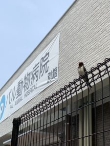 豪邸横に新居完成！？